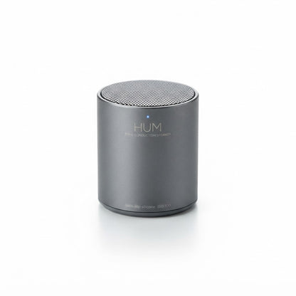 Conduction Speaker